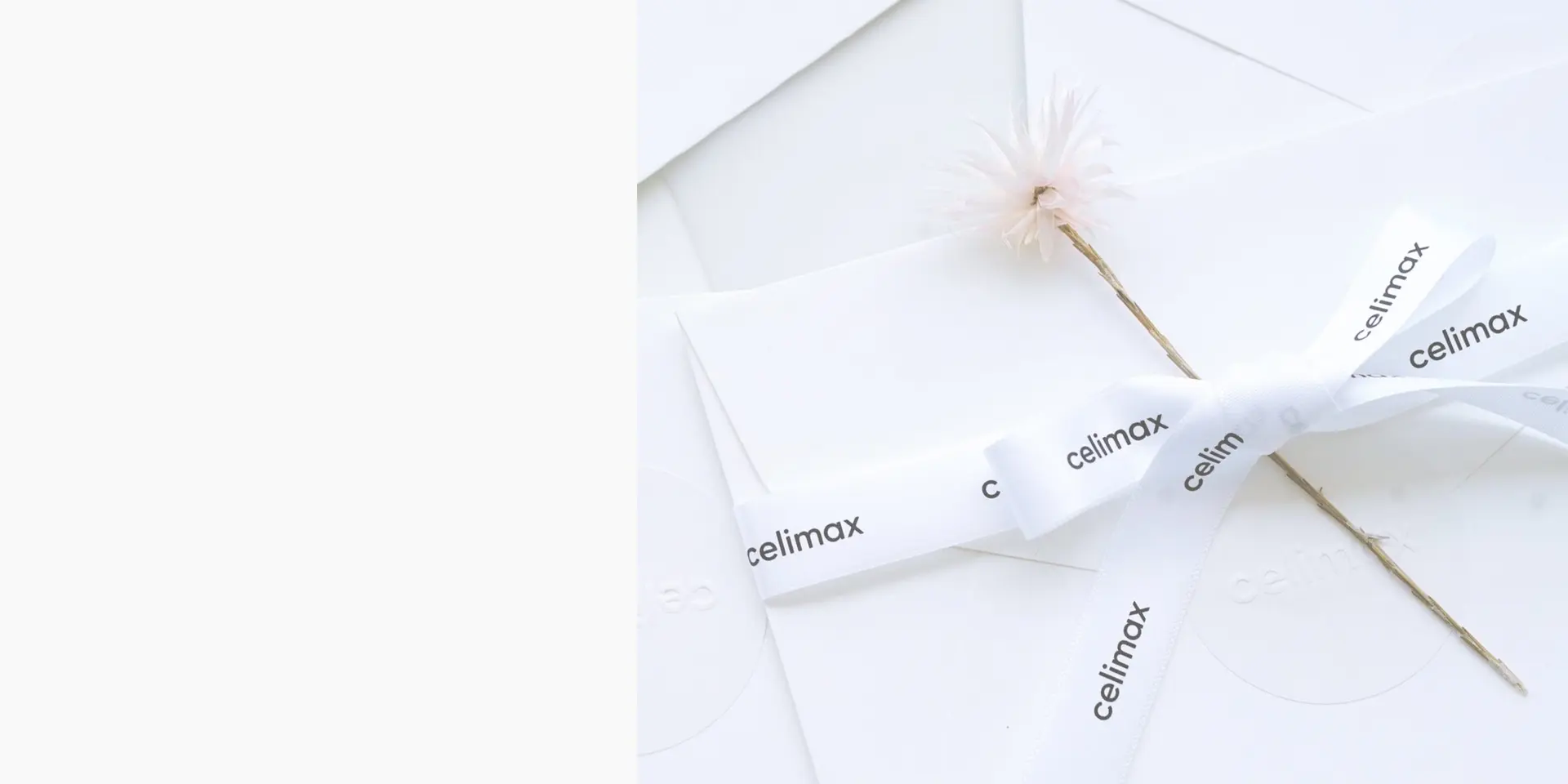 CELIMAX | Saphir Central CELIMAX — Saphir Central